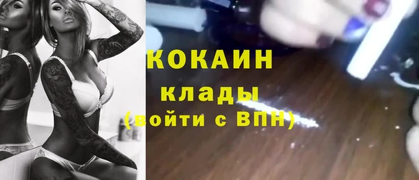 стафф Вяземский