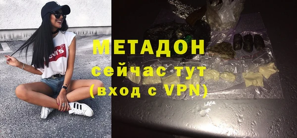 гидра Вязьма