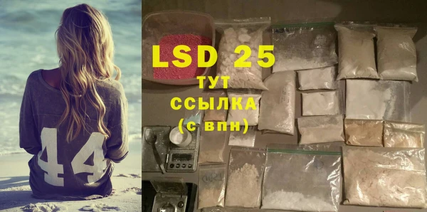 стафф Вяземский