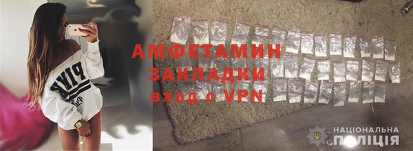 гидра Вязьма